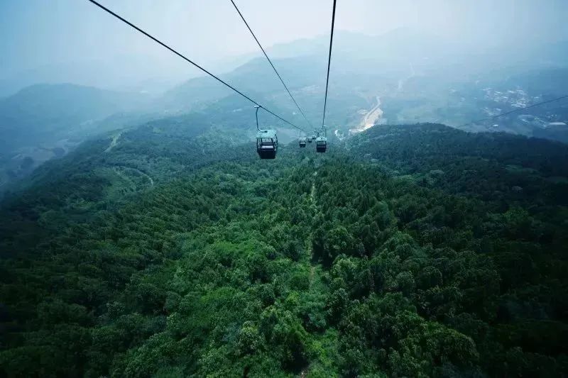 江苏人为什么喜欢去山东看海,去山东哪里看海最好