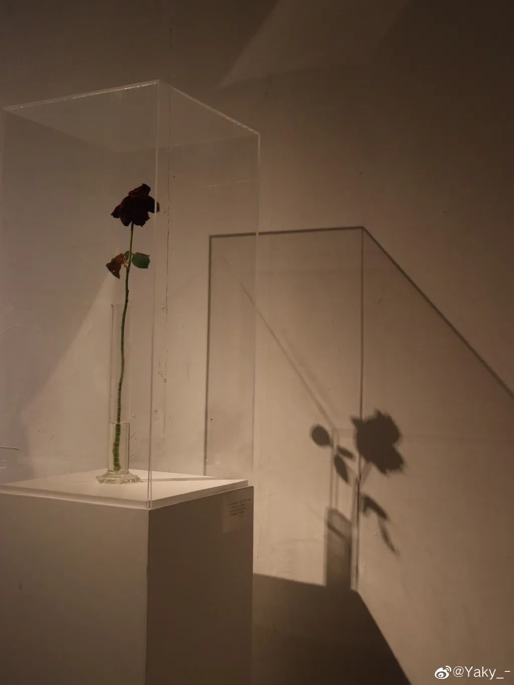 天津遛娃好地方,天津遛娃的免费公园