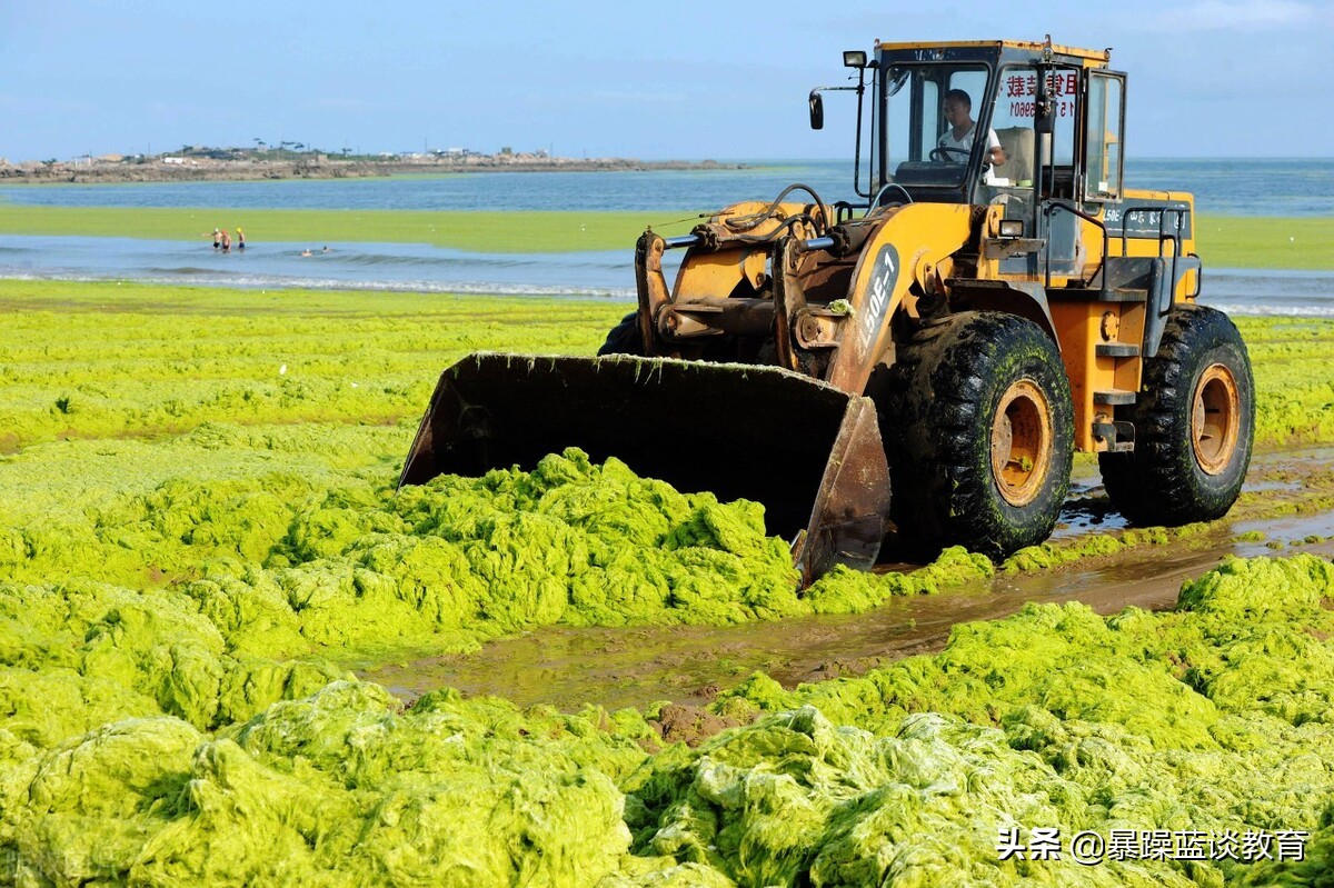 叉车和铲车是一个工种吗,装载机司机是什么工种
