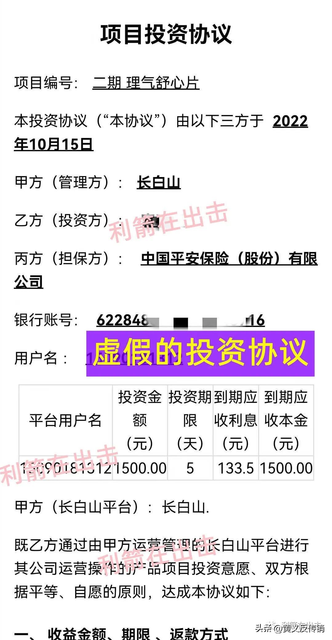 杀猪盘骗局告破2亿资产血本无归,互联网杀猪盘有哪些