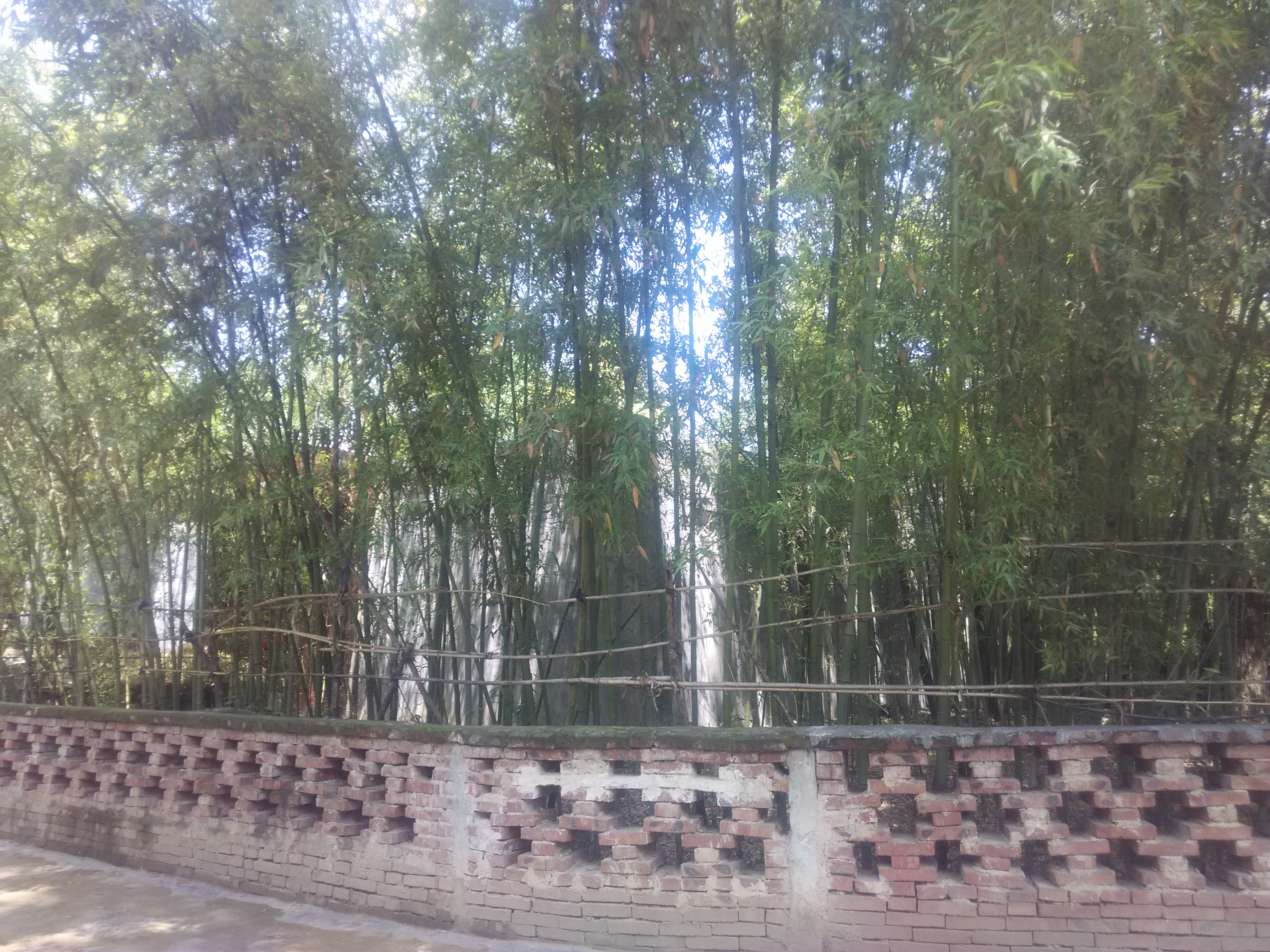 绿色城堡,绿色的城堡壁纸