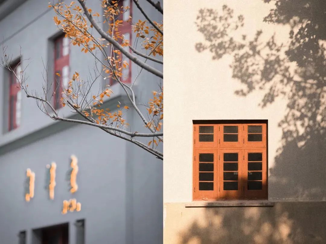 阔别1136天，你需要这份攻略～