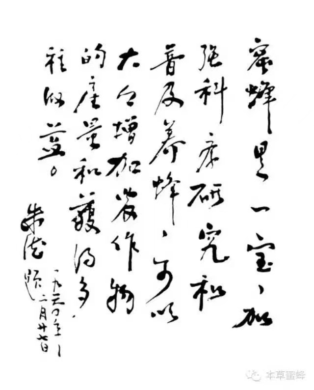 中国最大的蜜蜂研究所,中国蜜蜂博物馆