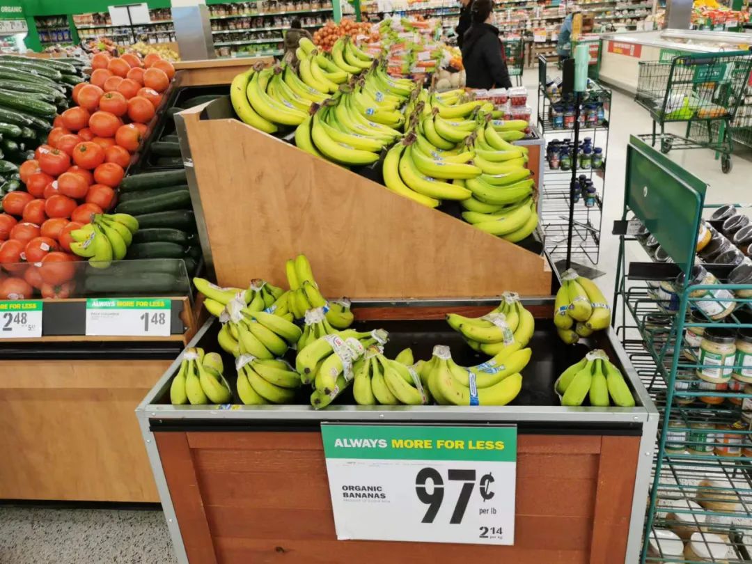 移民多伦多需要什么,移民多伦多做什么