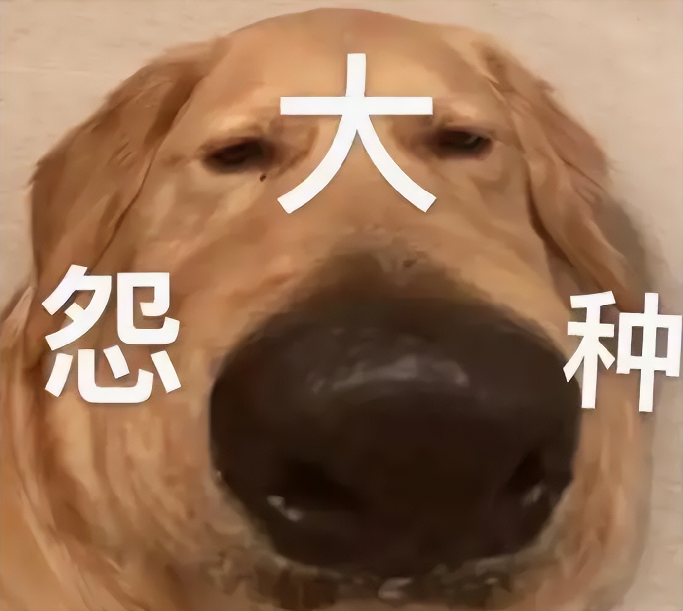 又一明星翻车,又一位当红女星翻车了