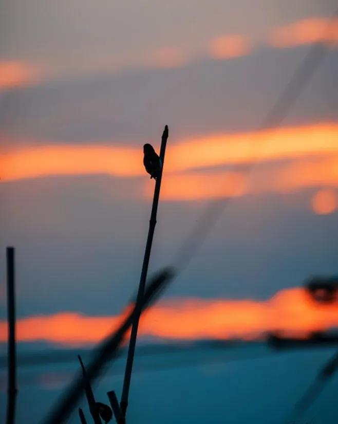 抖音很火的句子|有些事想多了头疼想通了心疼