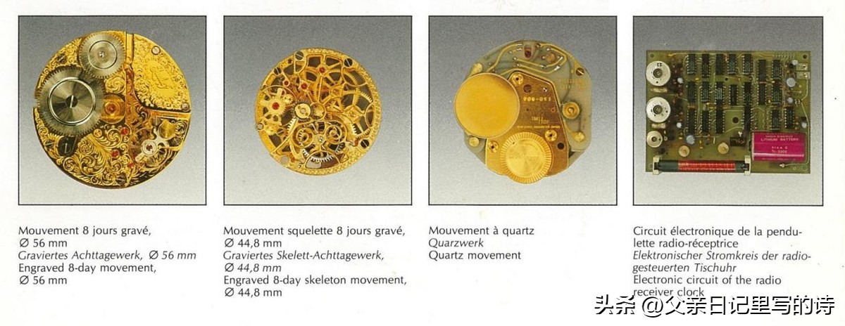 pp鹦鹉螺腕表,鹦鹉螺手表哪一款好看
