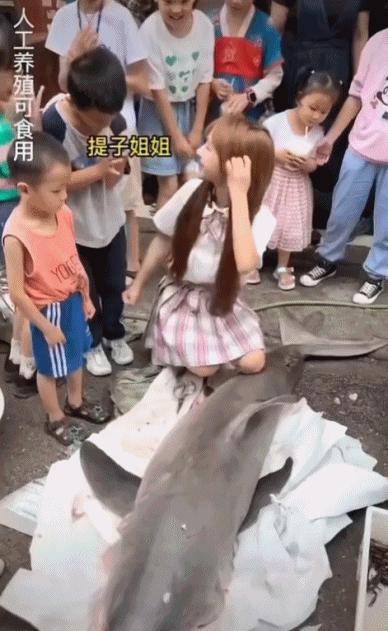 网红女主播吃大白鲨调查后续,网红被爆料吃大白鲨