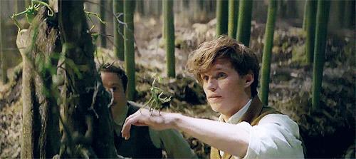 神奇动物3最新上映,神奇动物3电影评价