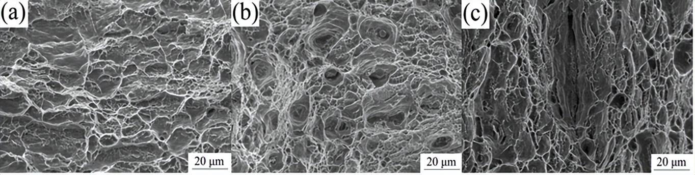 澶ц繛鐞嗗伐澶у绾崇背鏉愭枡,澶ц繛鐞嗗伐澶у澶嶅悎鏉愭枡