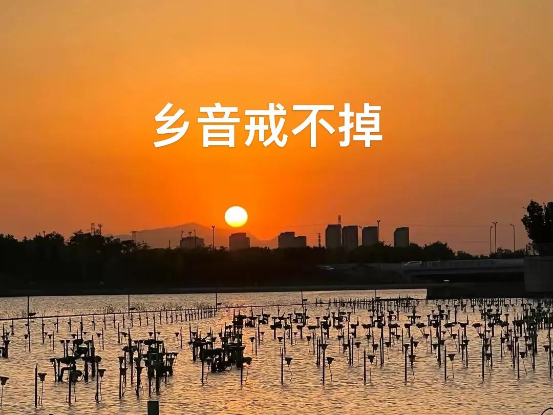 大额保单规避遗产税,大额保单和税收规划