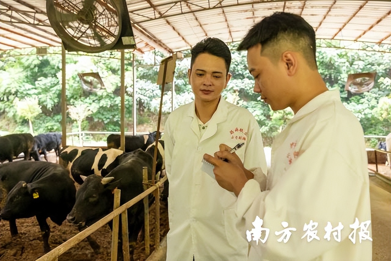 吾心归处为吾乡,吾心归处是原乡歌词