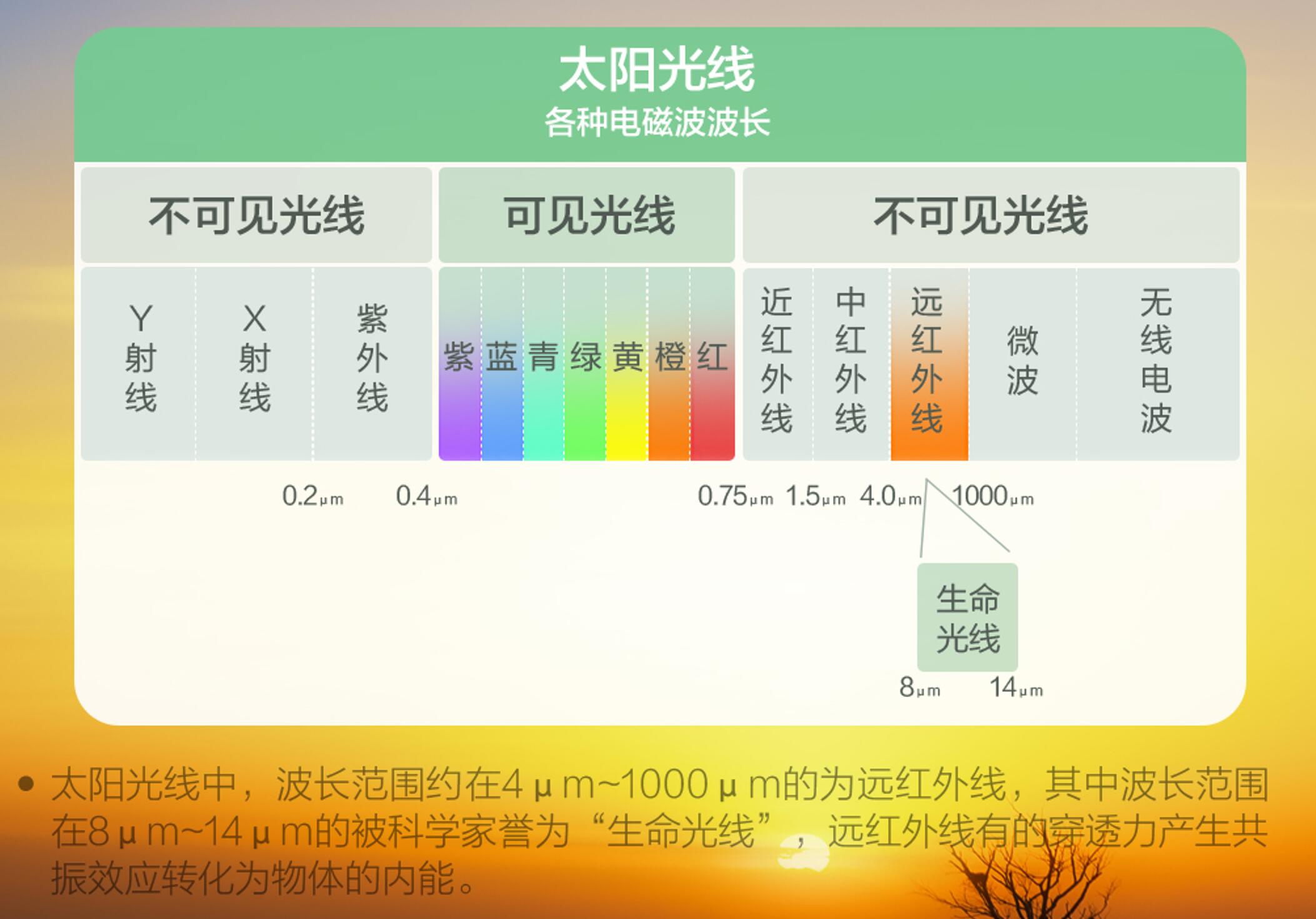 买什么样的电饭煲做出的米饭香,什么牌子的电饭煲焖饭好