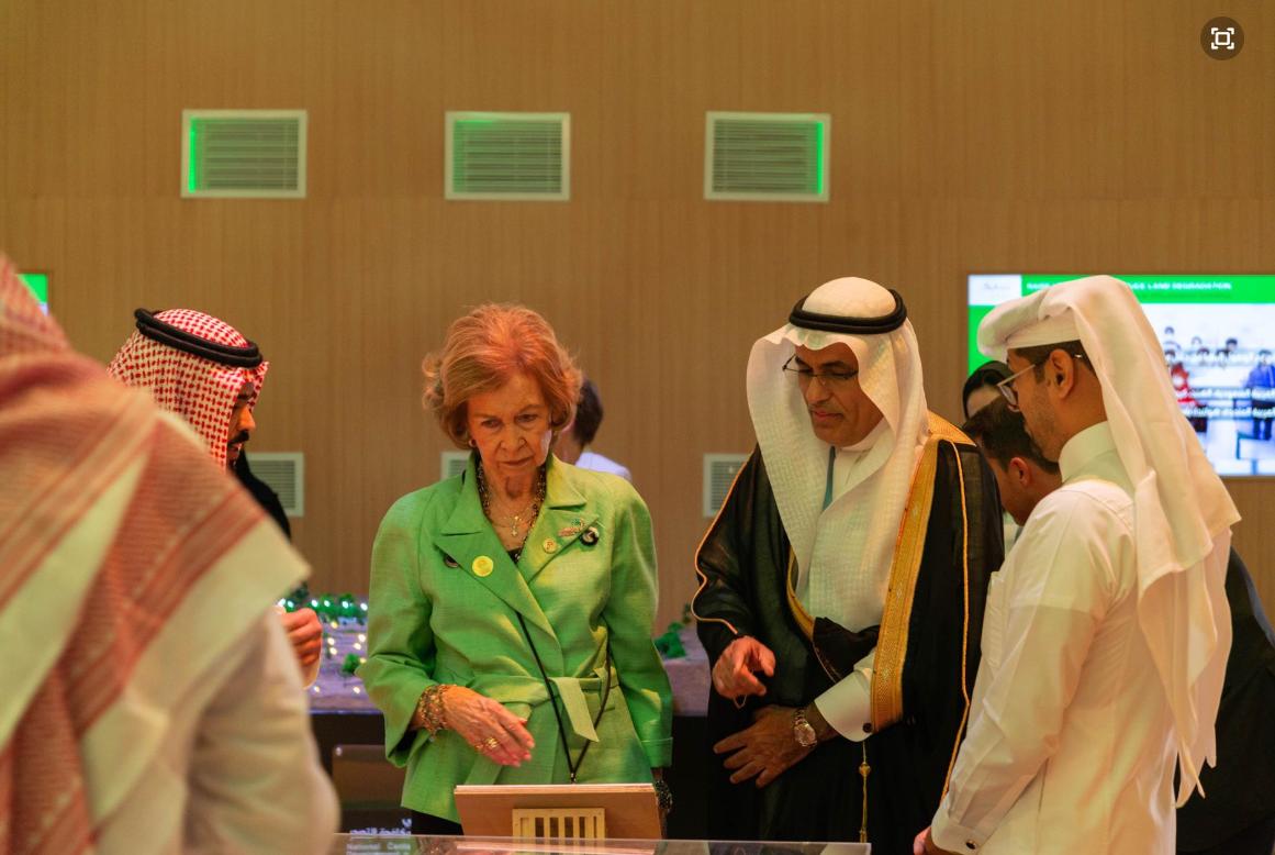 莱蒂齐亚穿长裙,莱蒂齐亚出席活动