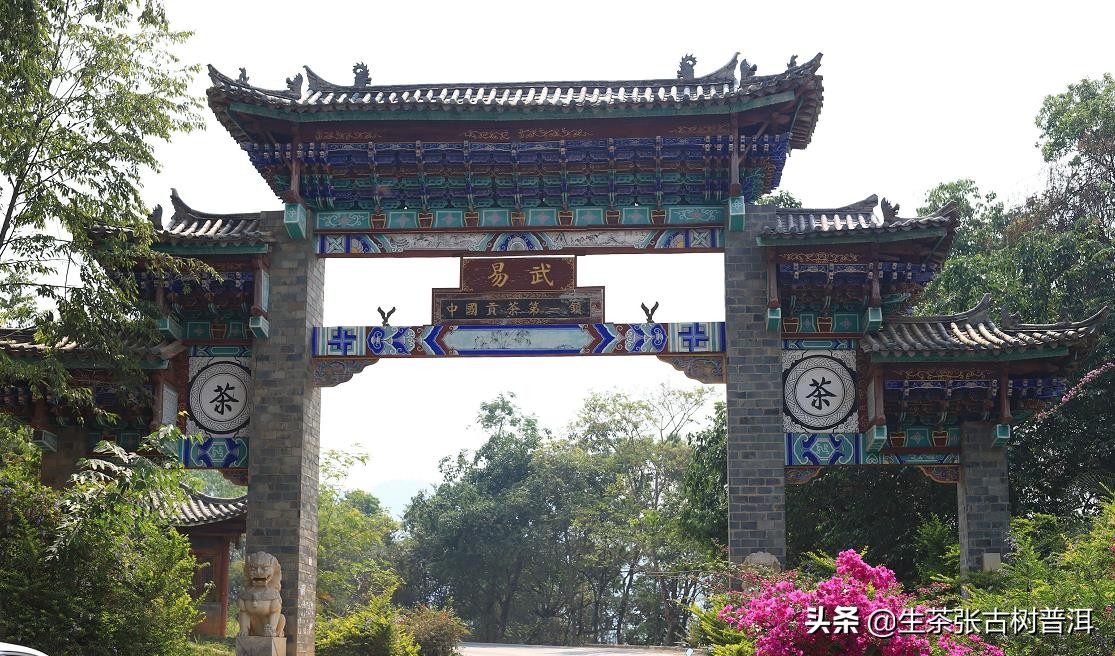 六大茶山普洱茶的特点,古六大茶山的茶叶外形特点