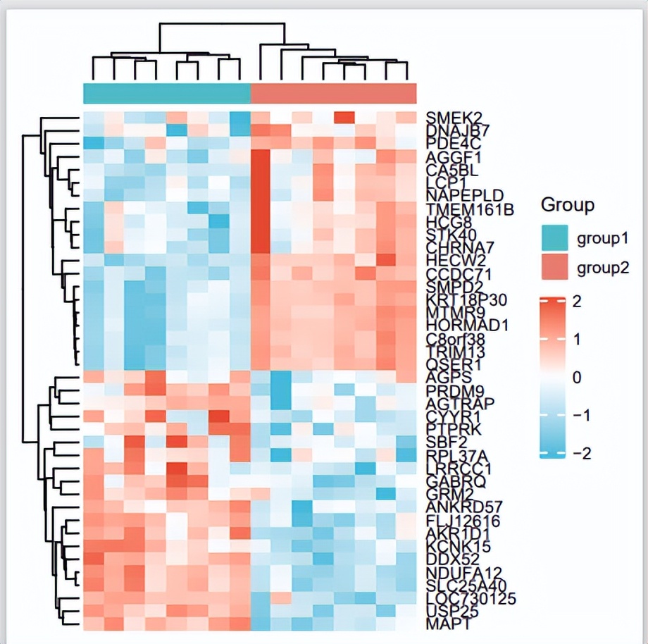 sci论文化繁为简,sci速成手把手教你写