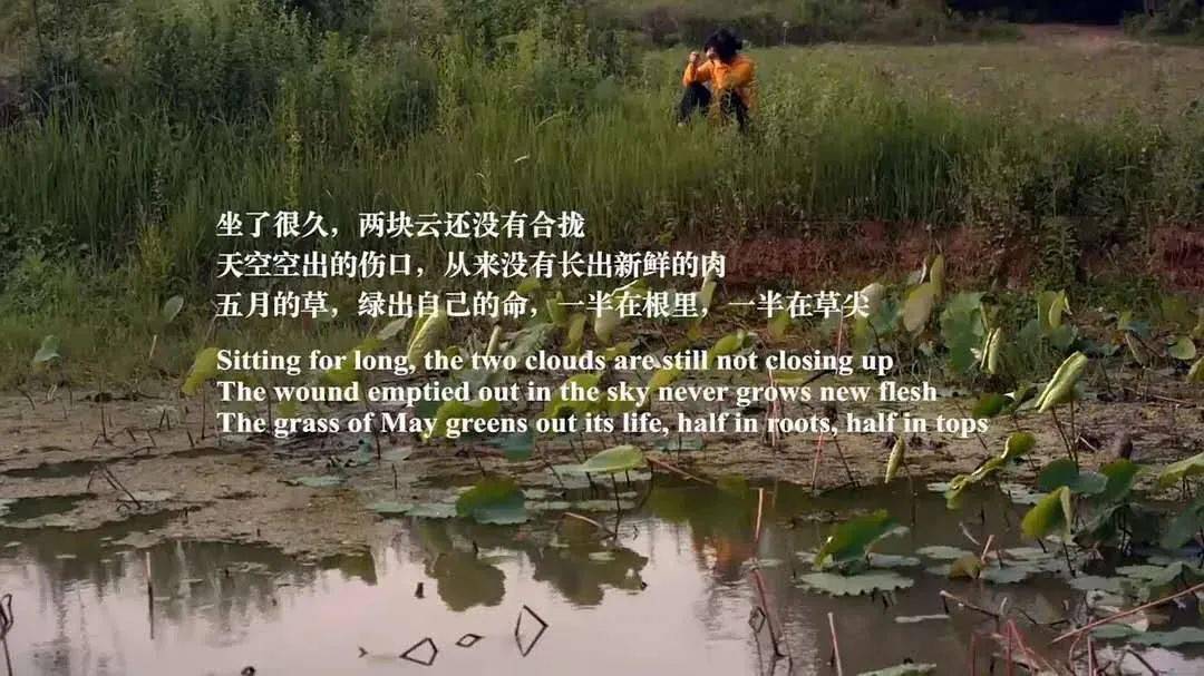 “荡妇”余秀华的风流人生,和她不为人知的反抗之路