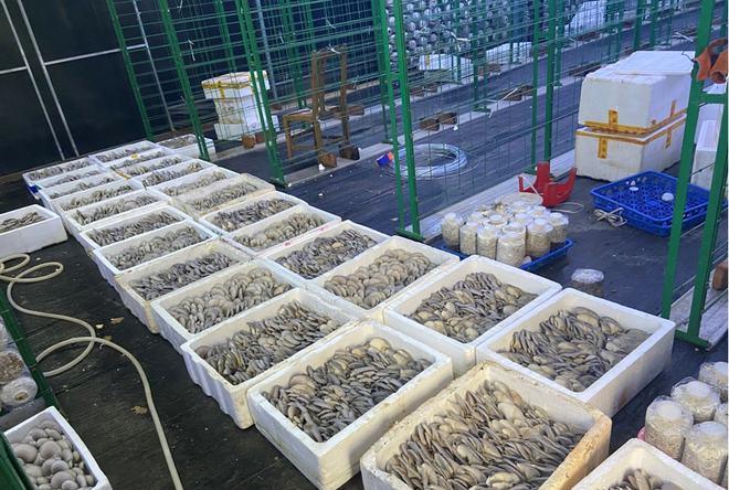 一谷一城乡村振兴强大引擎,乡村振兴星光行动