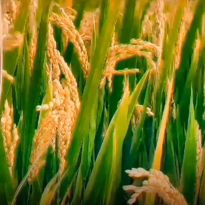 铜陵铜工业基地,安徽铜陵铜都发展史