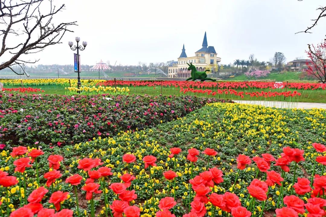 在豪宅里过自己想要的生活,独栋别墅稀缺性最高