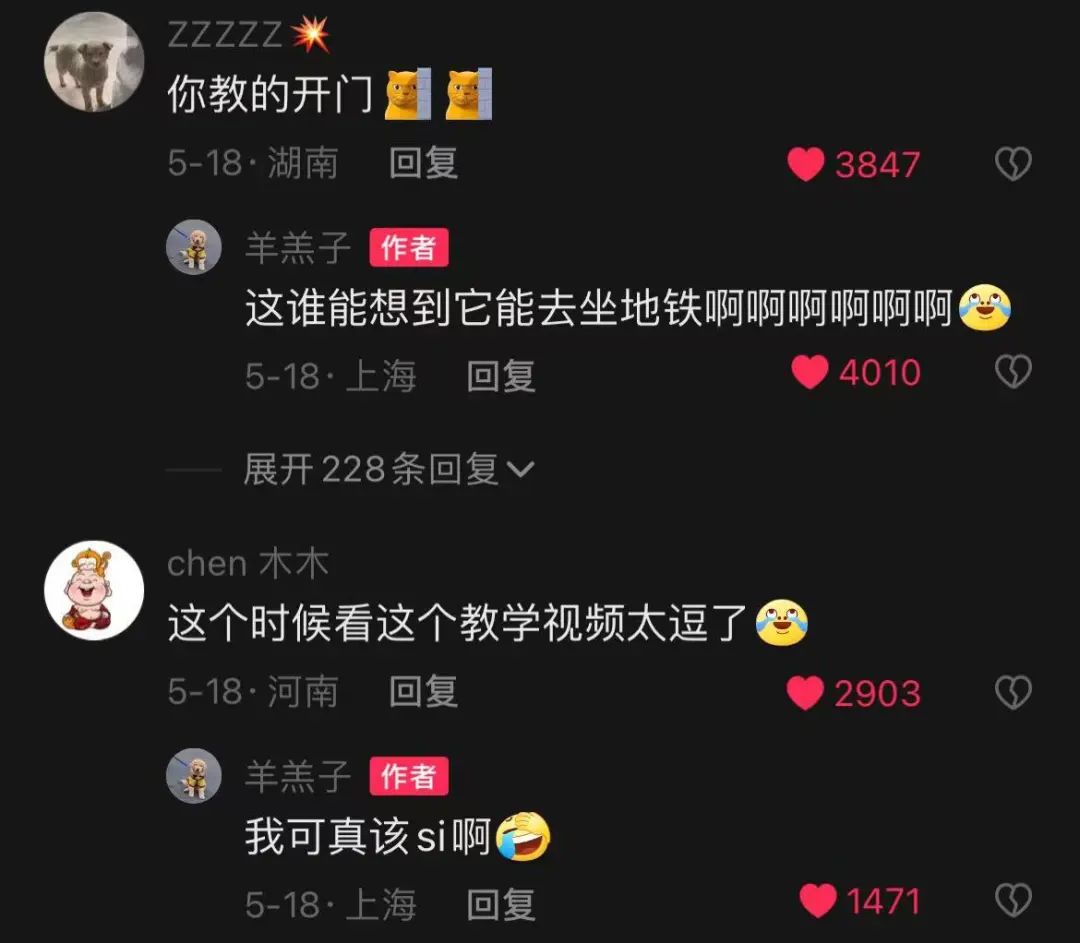金毛误入地铁站后续,金毛闯地铁