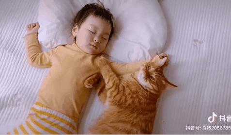 2018年全国宠物展排期表,深圳宠物展会2021排期明细表