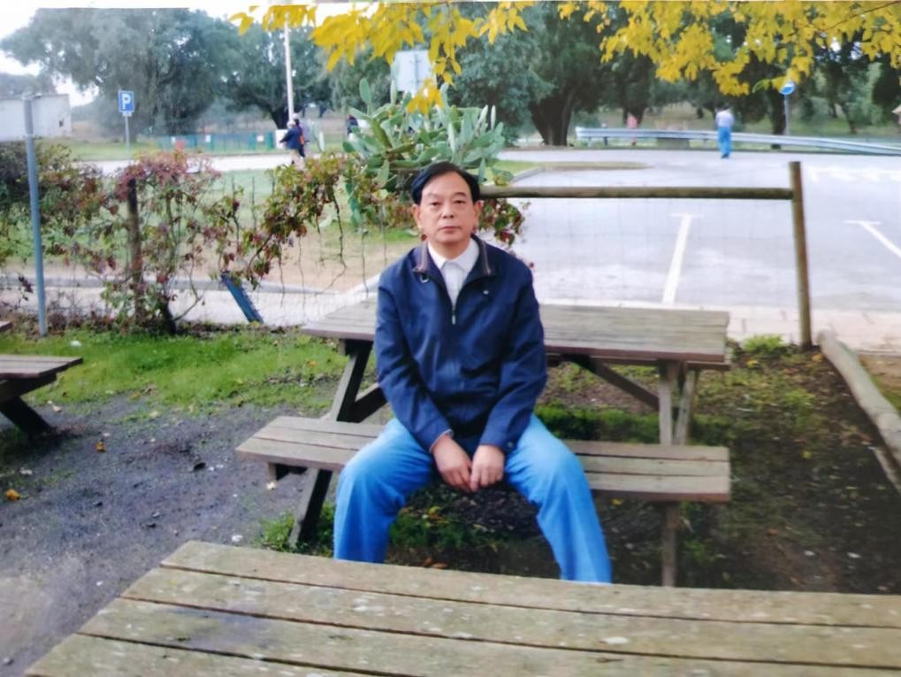 从马德里到里斯本，一路皆从橄榄树和橡树林中穿过