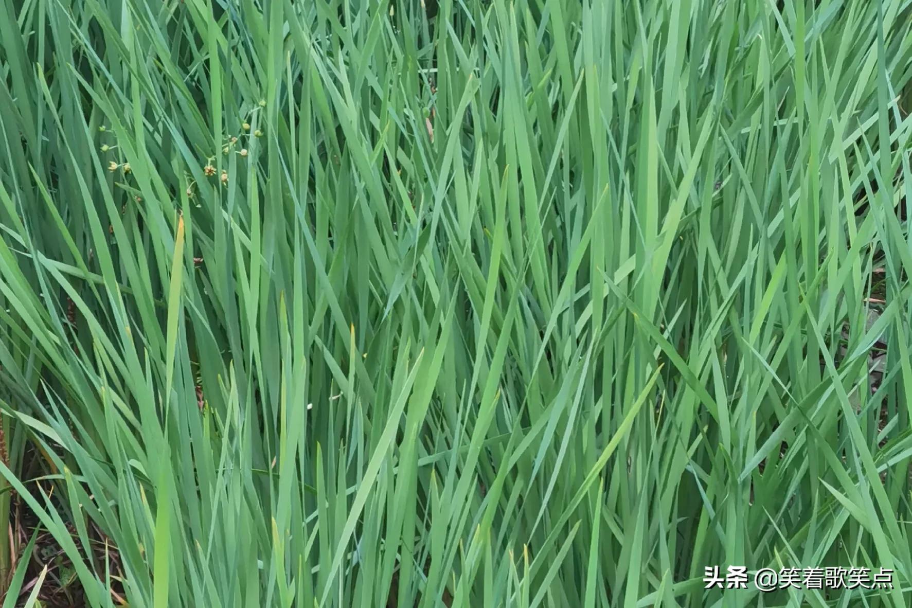 小小说房子,少年说房屋漏水