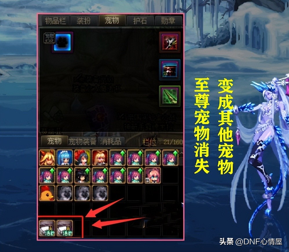 dnf10套春节礼包有什么惊喜,dnf10件春节套有宠物至尊宝珠吗