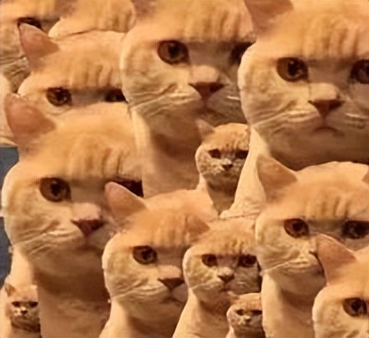 2022玩转中秋“博”出好彩头|DB妈学会喊你来博饼啦