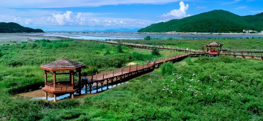 中国最美冷门旅游海岸,中国最美小众海岸线