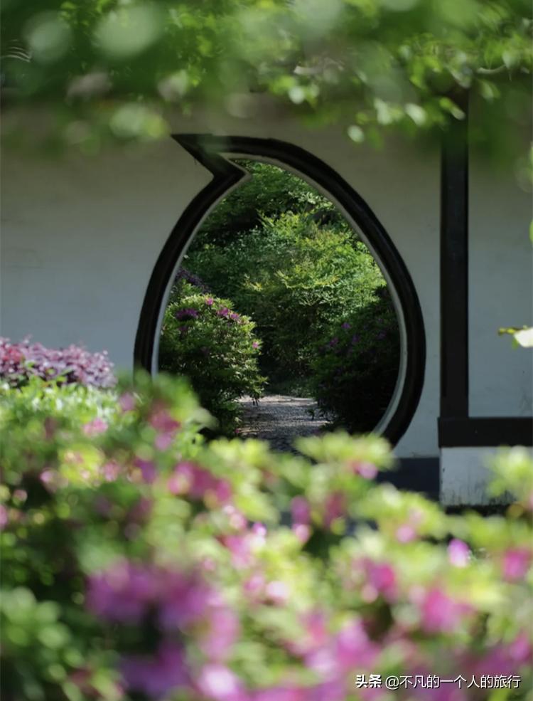 这座佛系安逸的江南老城被赞“全国最美森林火车站”