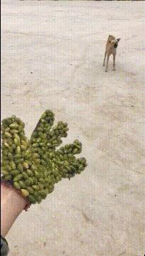 有没有结婚找不到伴娘的尴尬,快结婚了找不到伴娘怎么办啊