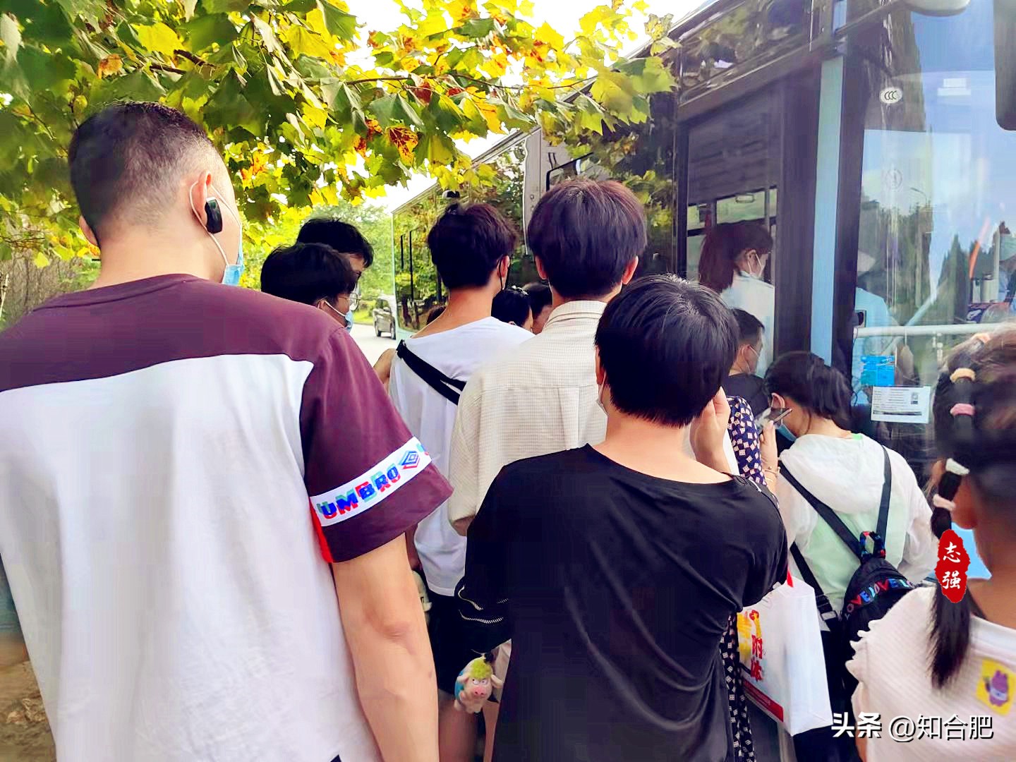 合肥五一有哪些景点可以去,合肥五一景点免费开放的地点