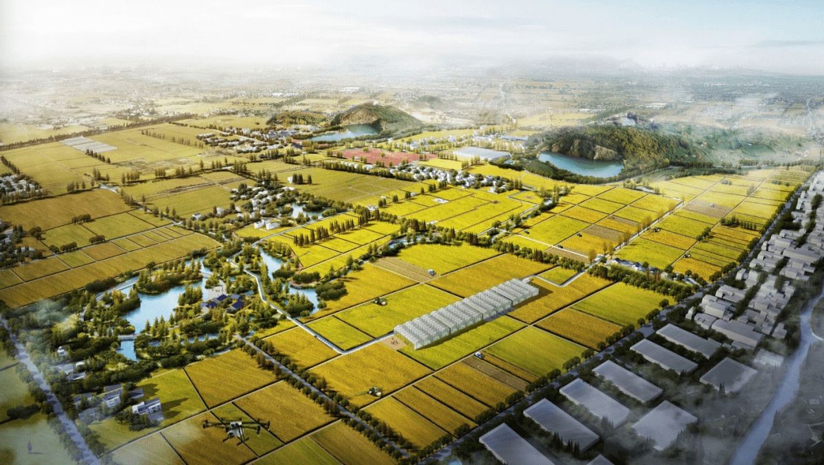 乡村振兴数字振兴包括哪些,乡村振兴受益概念股