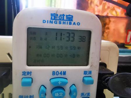 藻类植物可以预防疾病吗,杀菌盐可以预防藻类吗