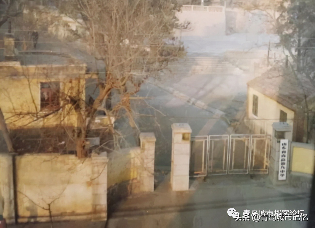 旧影里的青岛九中——百廿礼贤，世纪梦寻