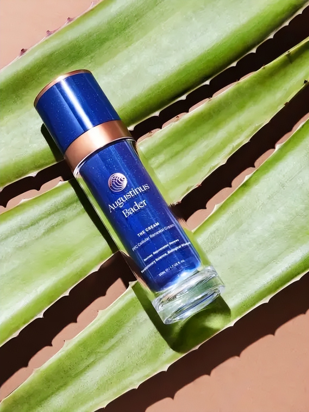 一定要去澳门的七个地方 (到澳门必须去的几个地方)