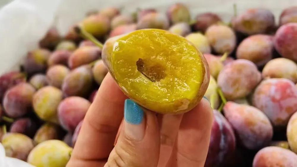 水果店利润有多大能赚钱吗,水果店的利润在多少纯利润多少