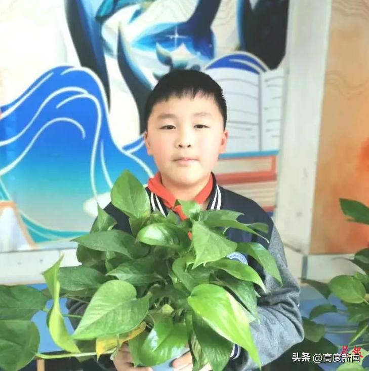 开展植树节主题班会活动,植树绿化美化家园主题班会节目