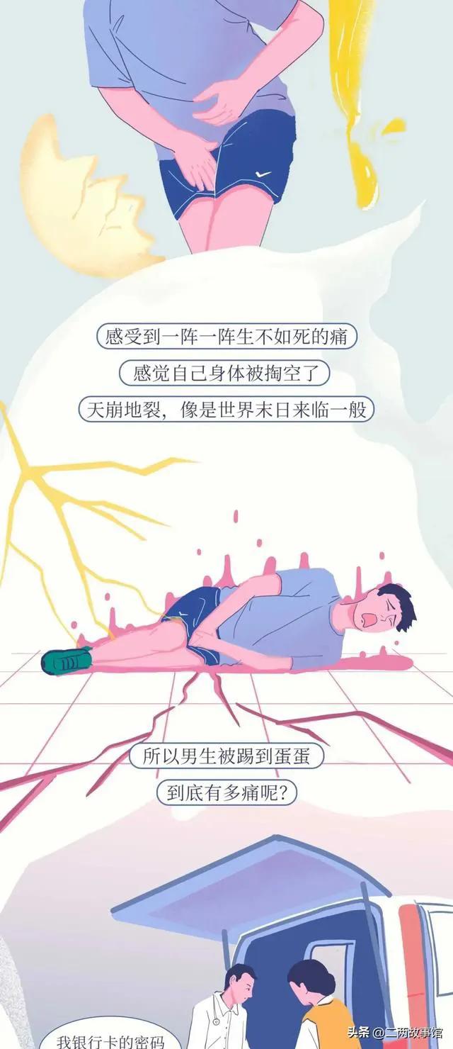 科普：男人的“蛋蛋”到底为什么那么脆弱？