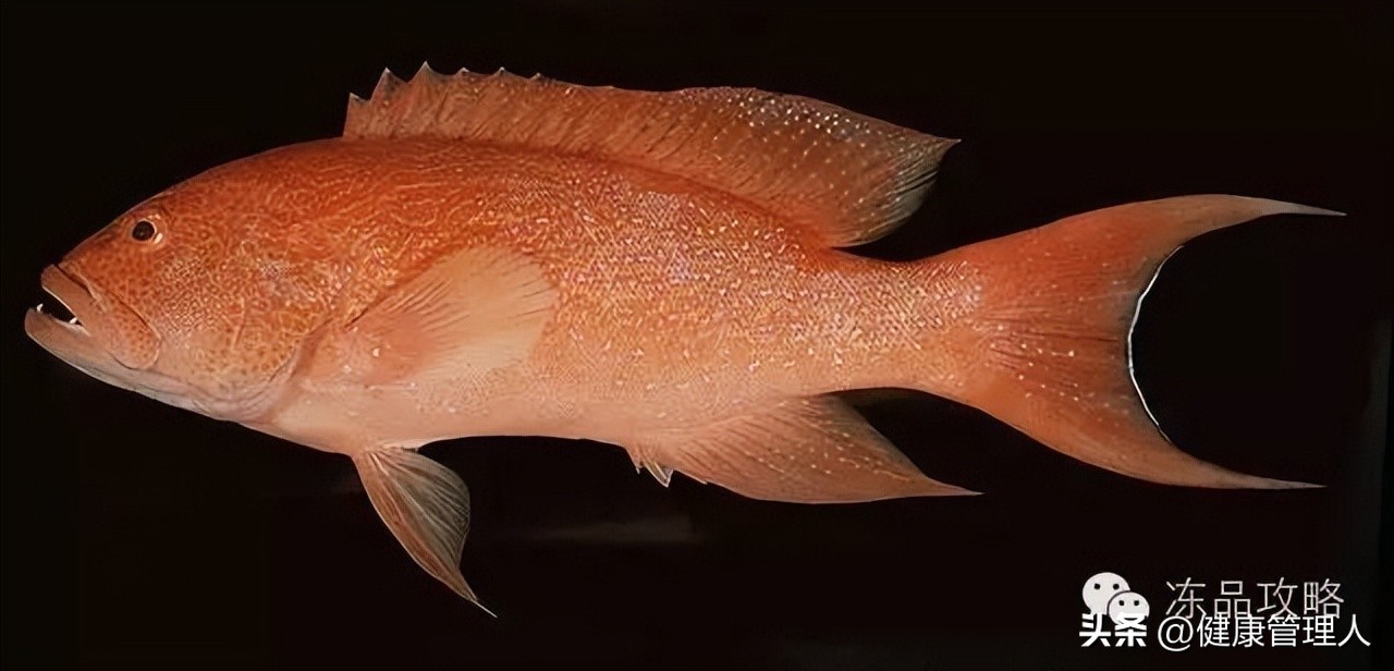 美容护肤食疗方案,美容护肤养生介绍