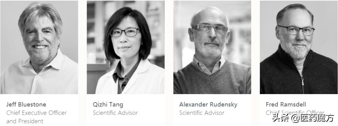 细胞治疗行业投资,细胞疗法投资