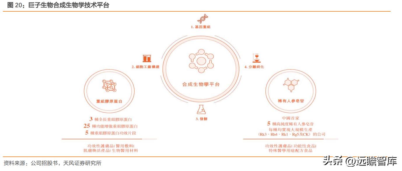 巨子生物重组胶原蛋白,巨子生物三型胶原蛋白获批