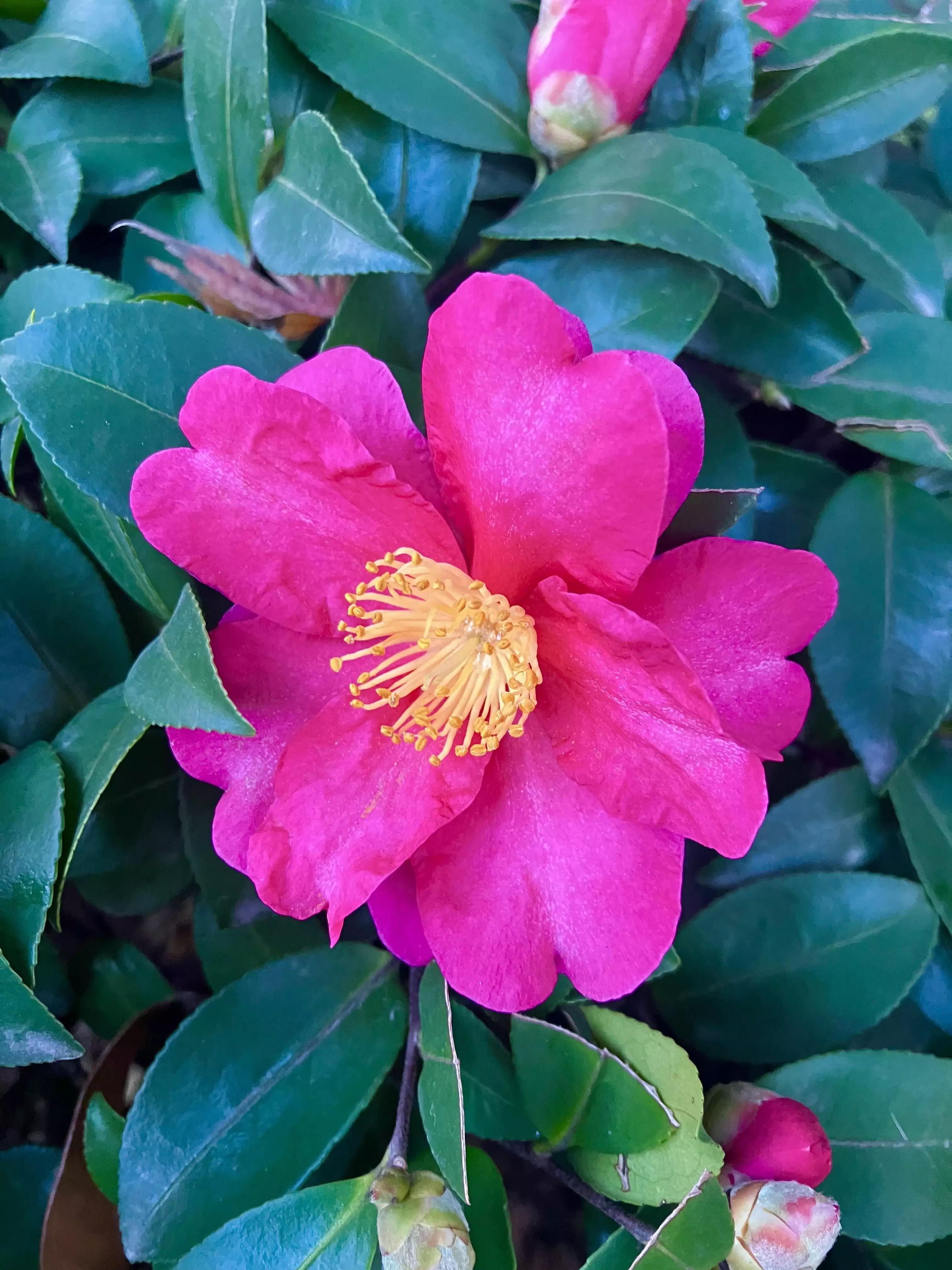 岁月斑驳留下来的都是静好时光,岁月斑驳愿时光静好