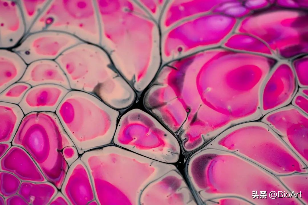 脑漏的真正原因,肠漏症和脑漏症