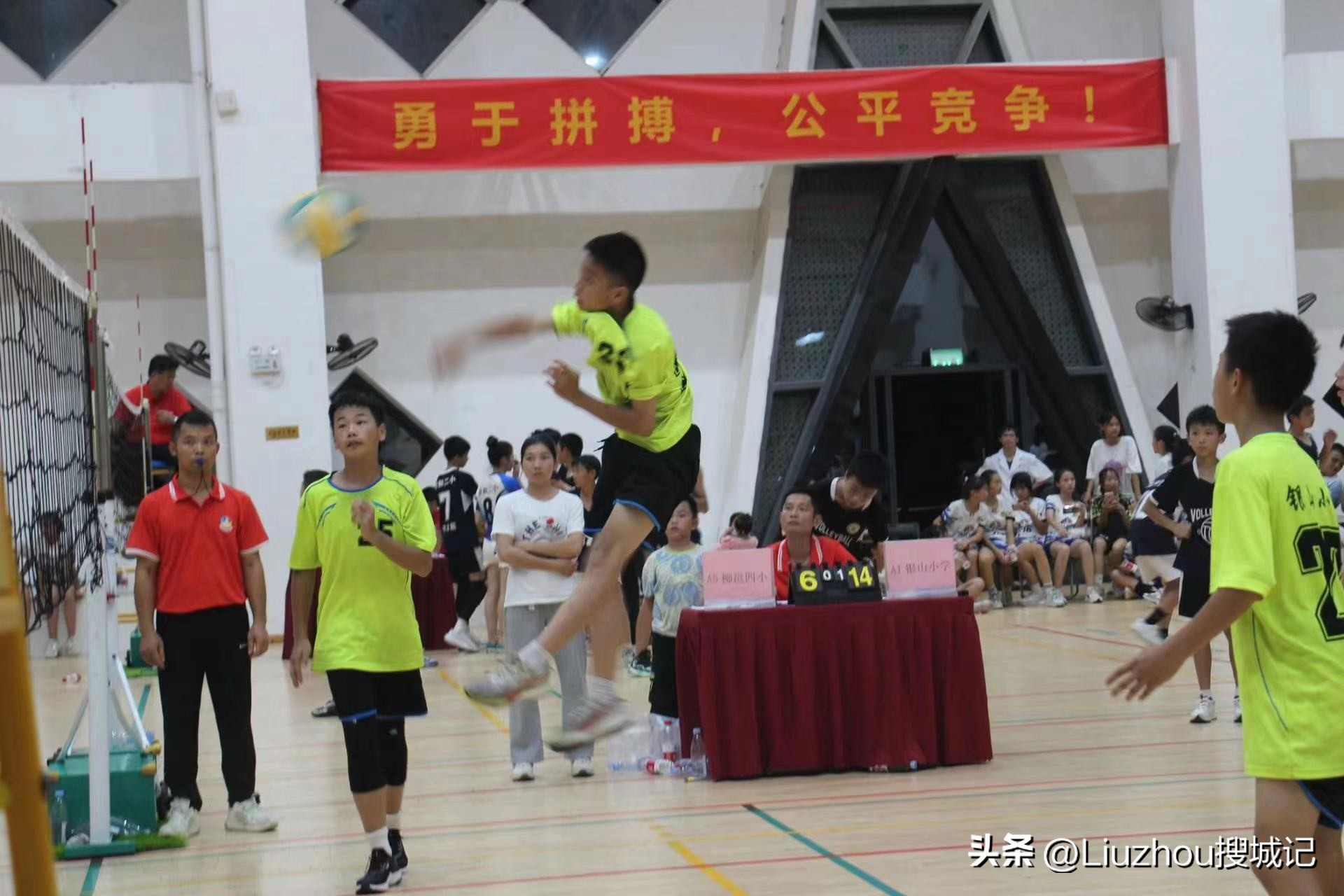 包揽全部冠亚军视频,包揽全部冠亚军