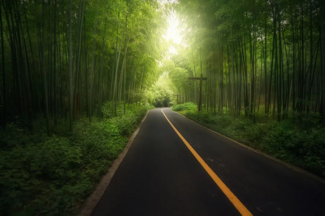 语文现象有哪些,生活中有趣的语文现象