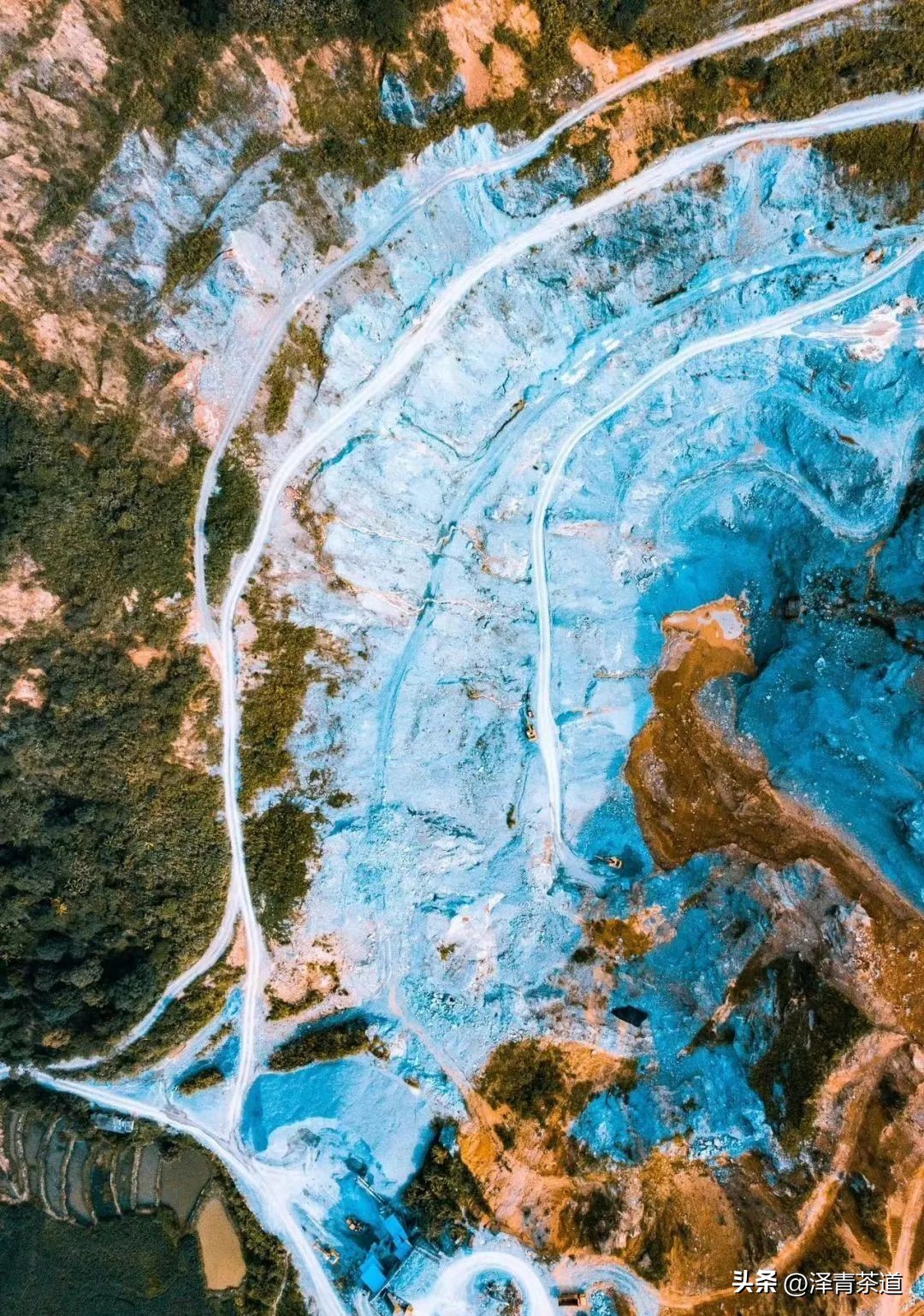 易武六大茶山茶的特点,易武茶的特点