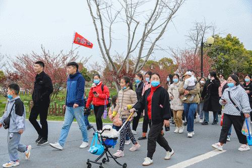 春风吹暖就业季绽放民生幸福花,春暖花开经济